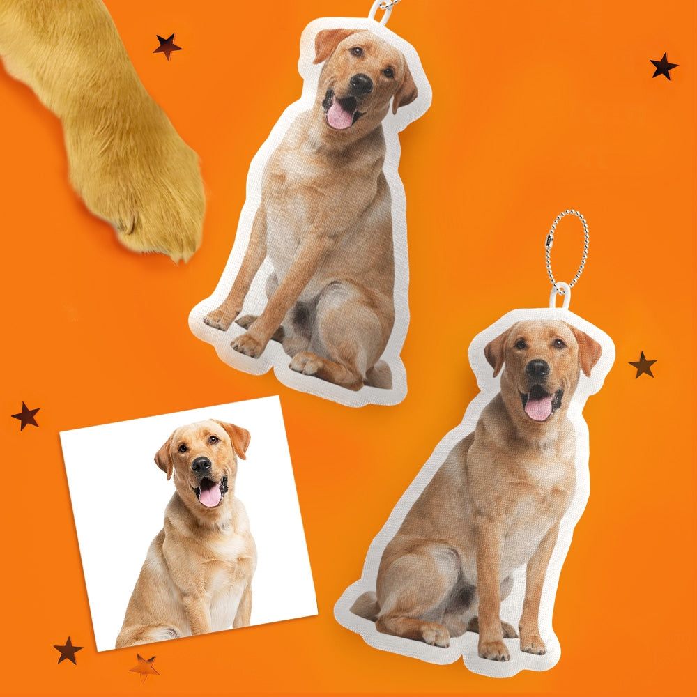 Furazzi Custom Pet Portrait Pillow – Made From Your Pet’s Photo